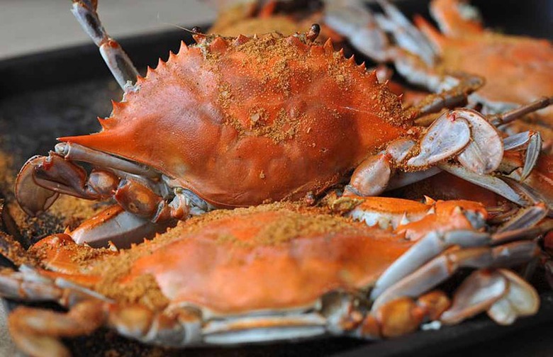 blue crabs
