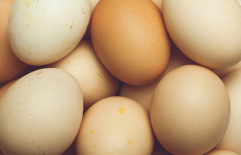 Dairy: Eggs