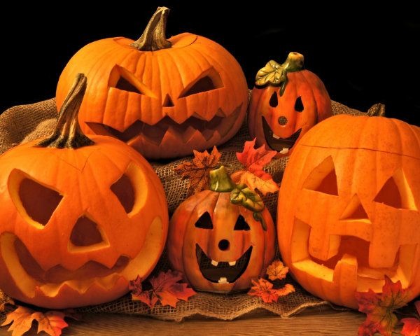 Pumpkin Picking Tips