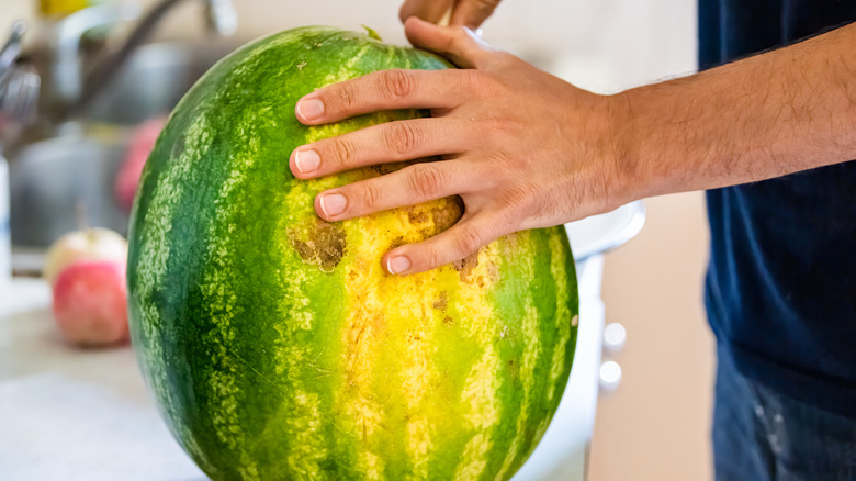 Field spot of watermelon