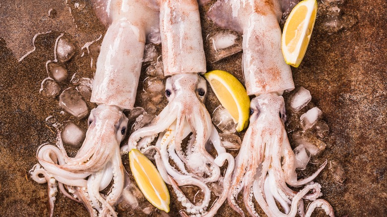 Whole squid with lemons on stone