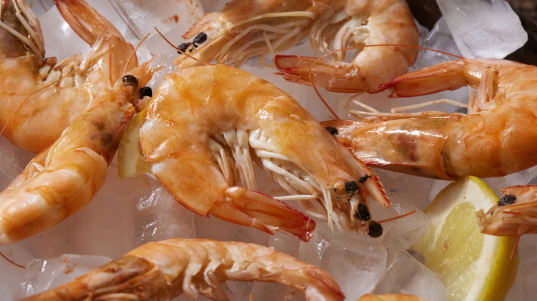 Shrimp unpeeled on ice 