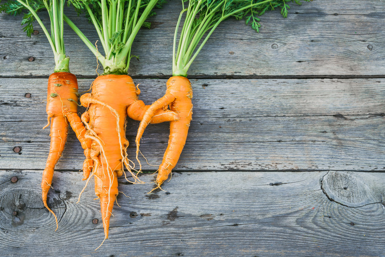 carrot