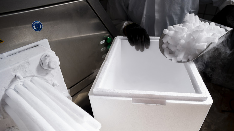 Person placing dry ice into an insulated container.