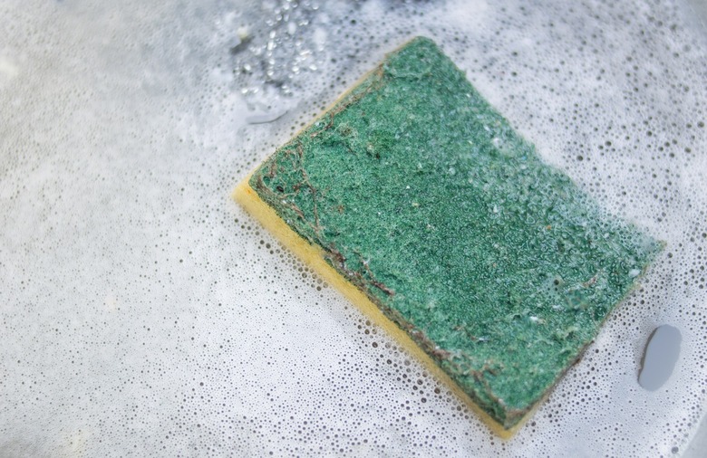 Clean or throw away old sponges 
