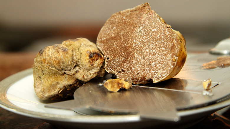 Shaved white truffles on white background