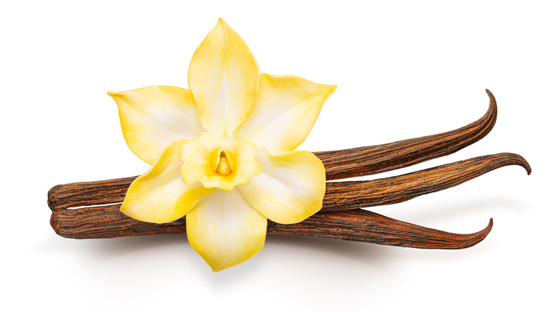 Vanilla pods