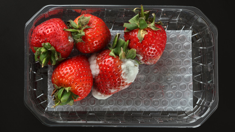Package of strawberries and one is moldy