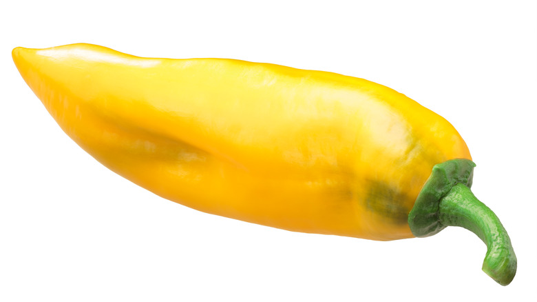 Cascabella peppers, scientifically known as capsicum annuum 