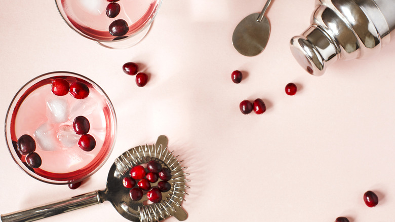 cranberries and shaker with glasses 