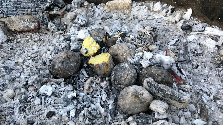 potatoes roasting in ash