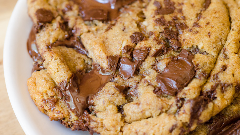 close up of chewy chocolate chip cookie