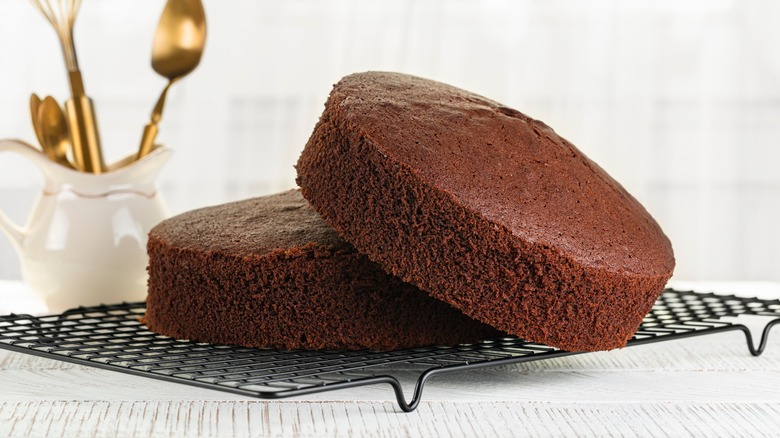 Chocolate cake layers on cooling rack