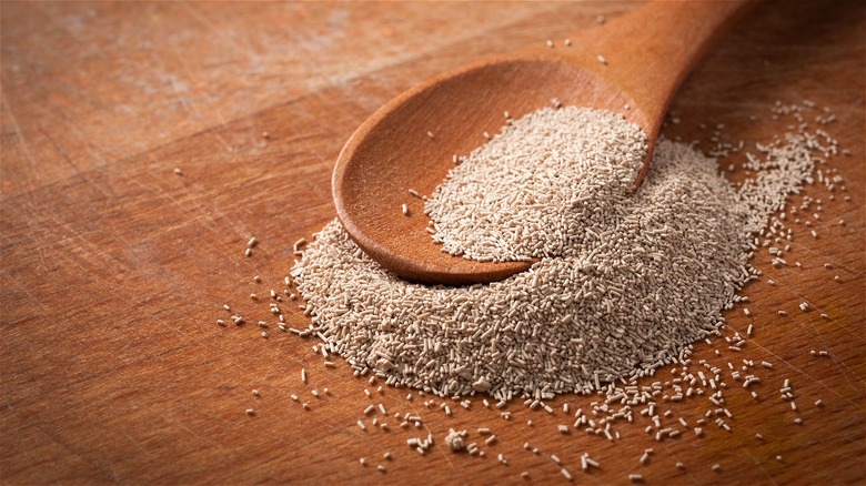 Spilled yeast on a wooden spoon 