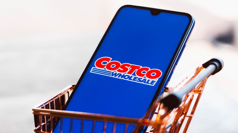 phone sitting in tiny shopping cart with costco app open