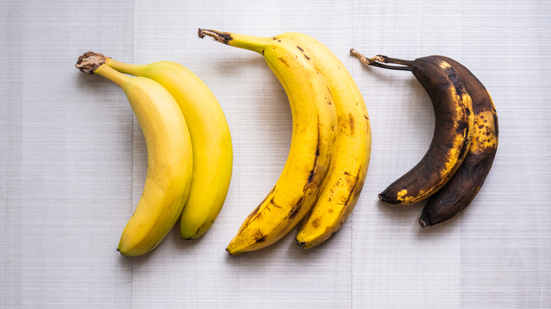 Bananas of different ripeness lined up