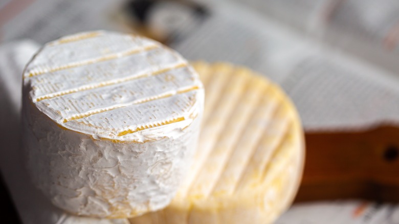 Wheel of camembert