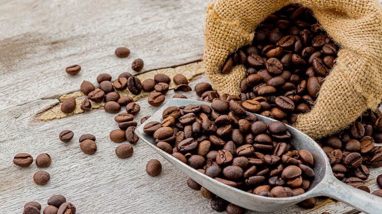 coffee beans in scoop