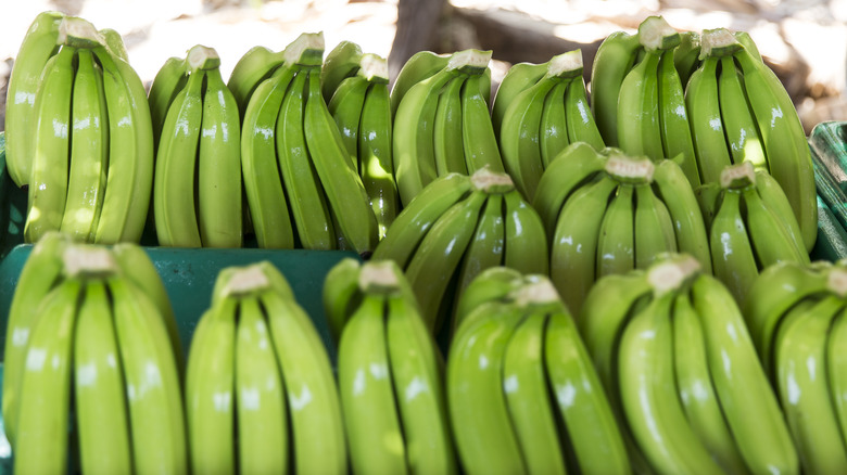 green bananas in grocery store