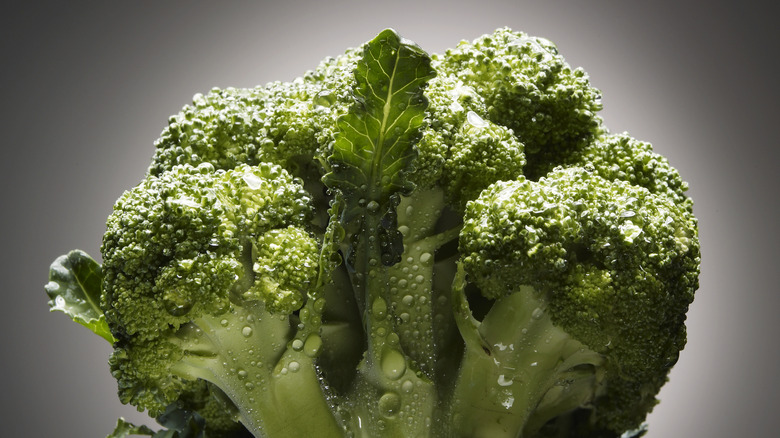A head of broccoli