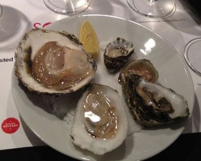 Oysters