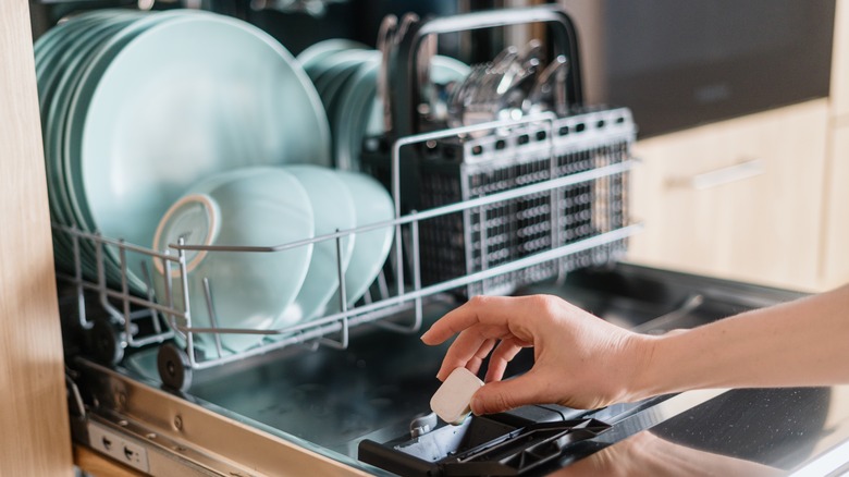 Dishwasher loaded with dishes