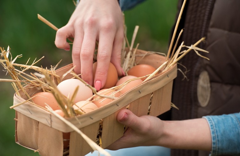 Farm-fresh eggs