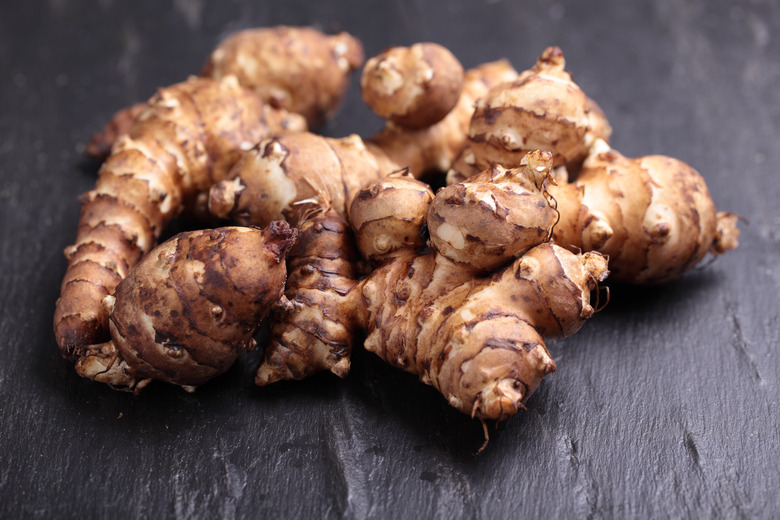 Jerusalem artichoke
