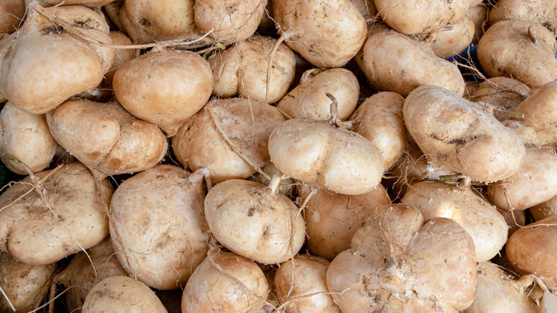 Pile of jicama 
