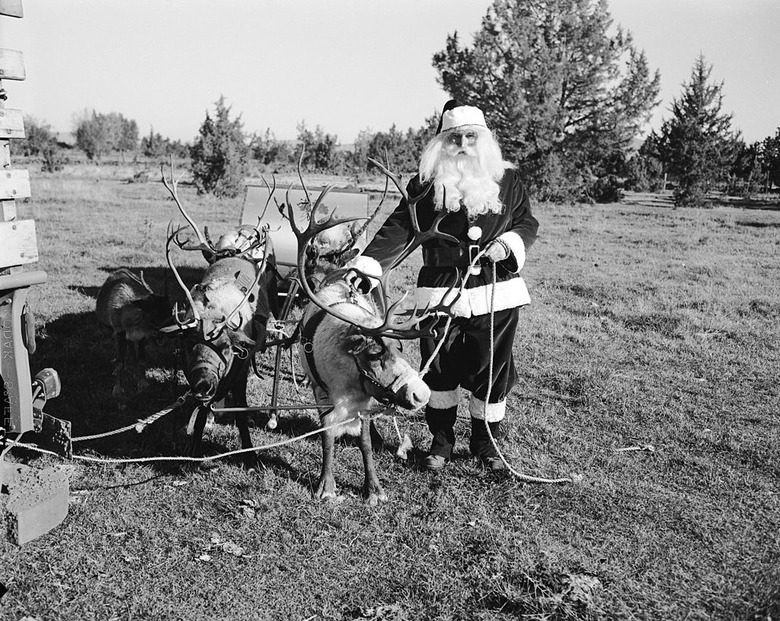 A popular poem introduced his reindeer