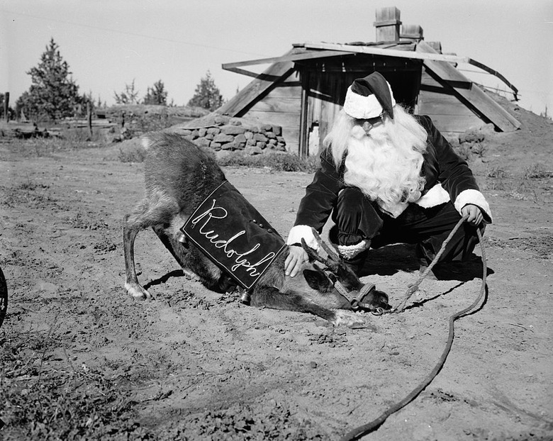 Santa's favorite reindeer is 80 years old
