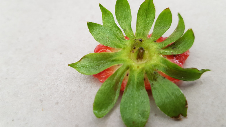 strawberry hull