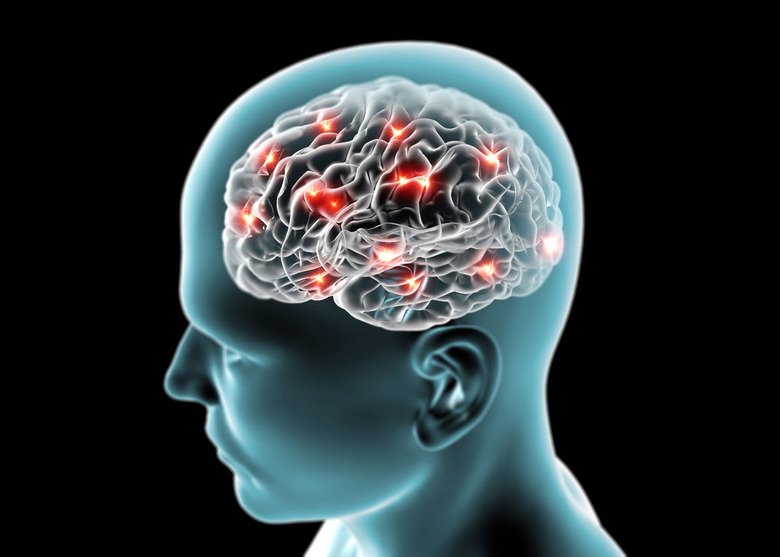 Consumption of Omega-3s and brain health may be related.