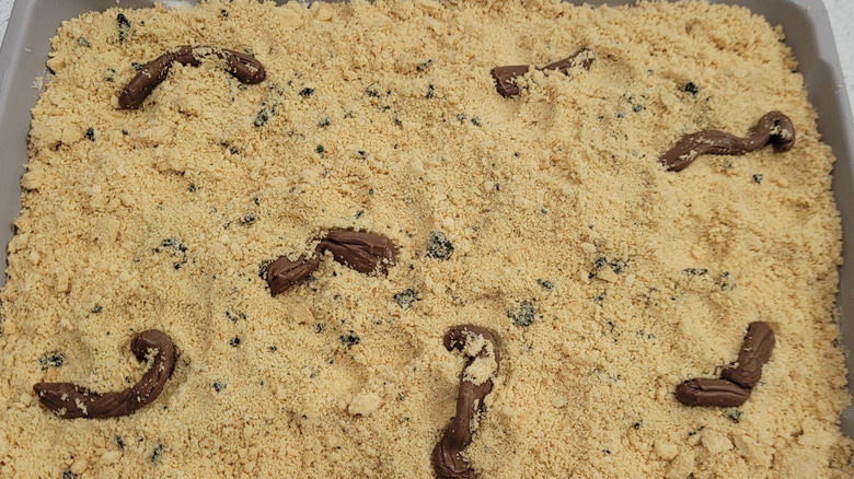Kitty litter cake covered in tootsie rolls