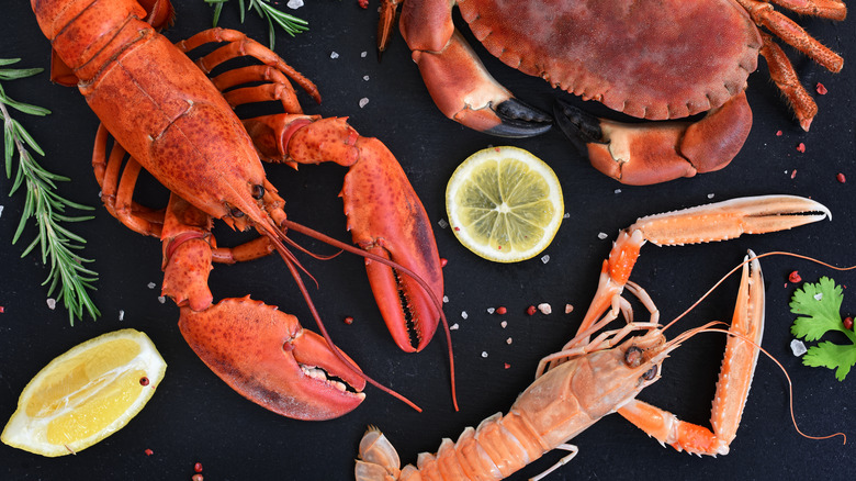 Lobster, langoustine, and crab