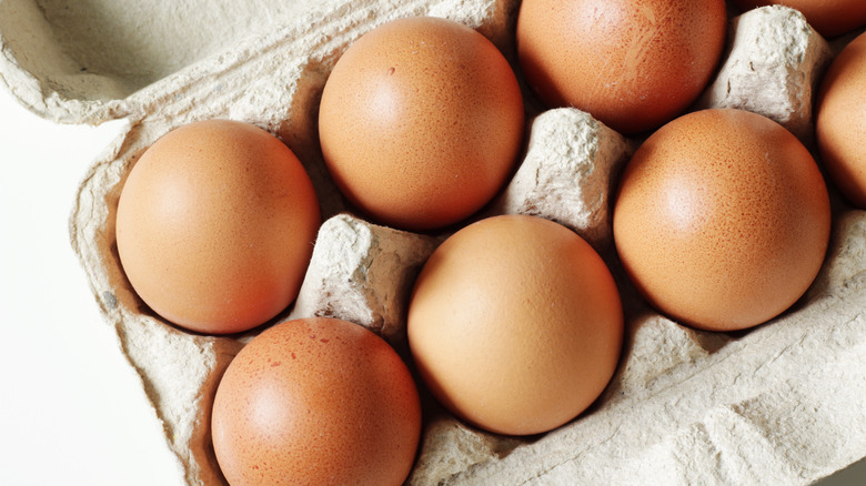 eggs in a carton