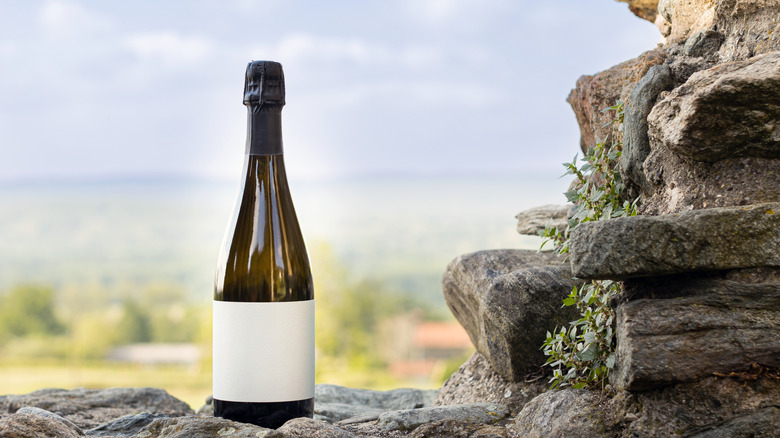 Champagne bottle standing on rocks in the countryside.