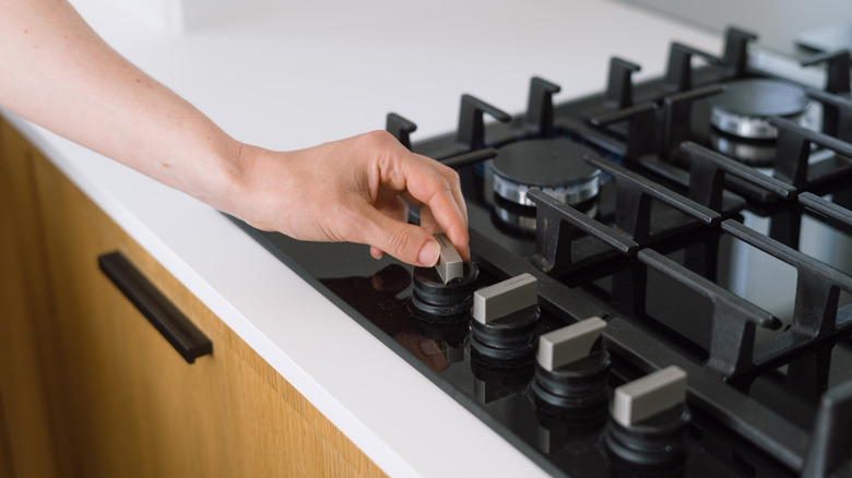 Hand turning stove range knob