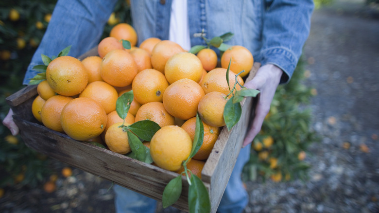 Box of oranges