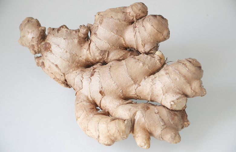 Ginger