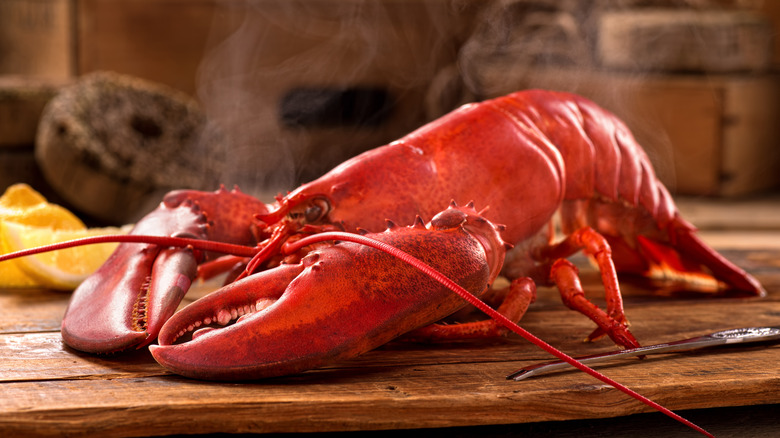 Steamed red lobster on board