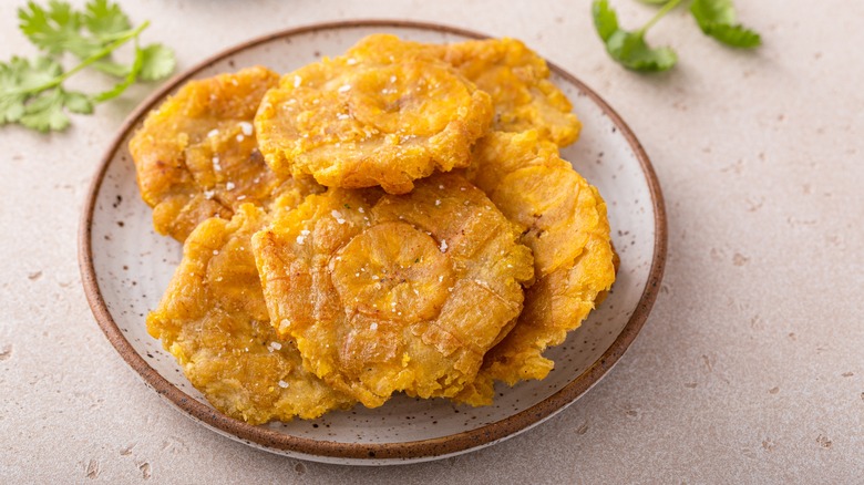 Tostones on plate with cilantro in background