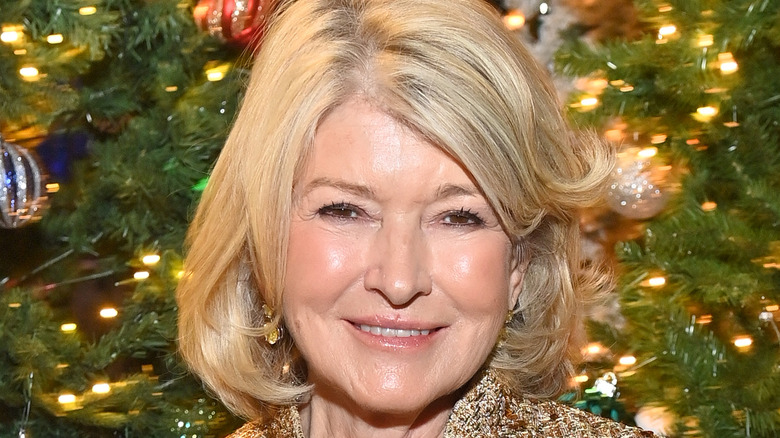 martha stewart smiling