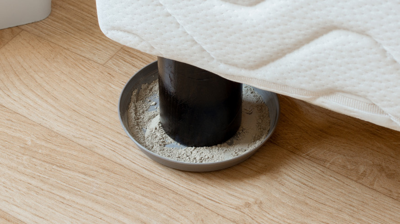 Foot of a bed in a shallow pan with diatomaceous earth spread inside to get rid of indoor pests