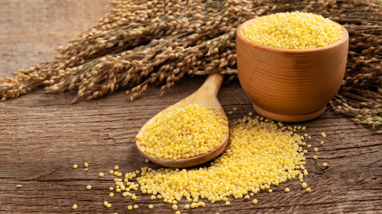 Millet in a bowl and spoon