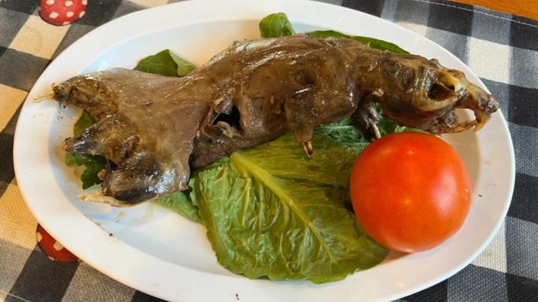 Whole cooked muskrat on a bed of lettuce with a tomato on a white plate