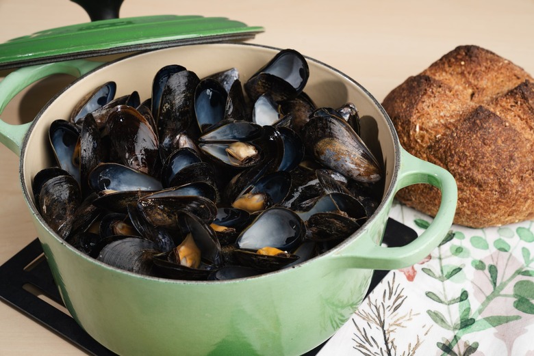 Mussels steamed in white wine recipe