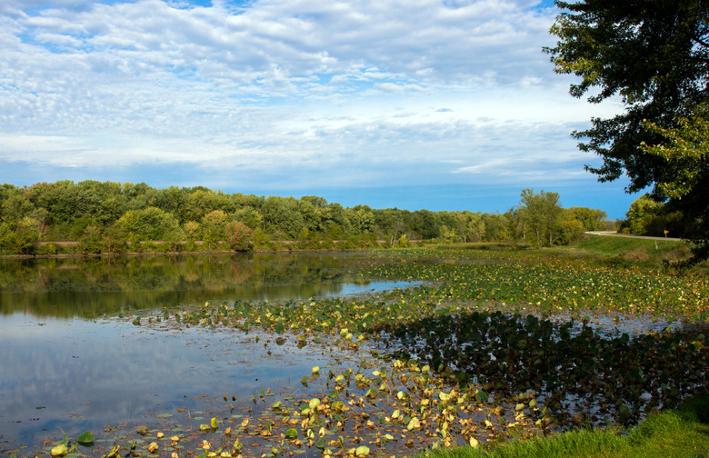 The Wisconsin Great River Road