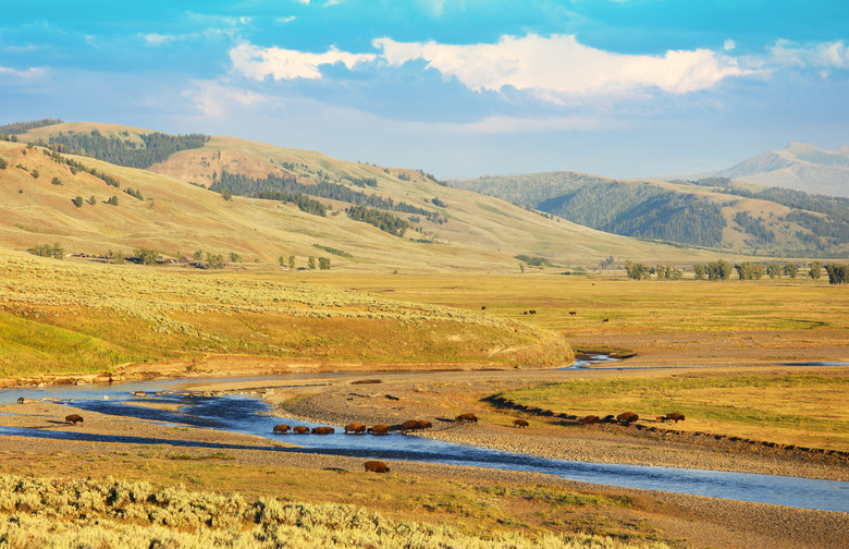 Yellowstone National Park