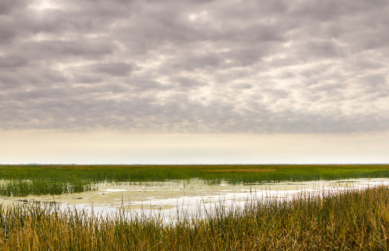 Cheyenne Bottoms